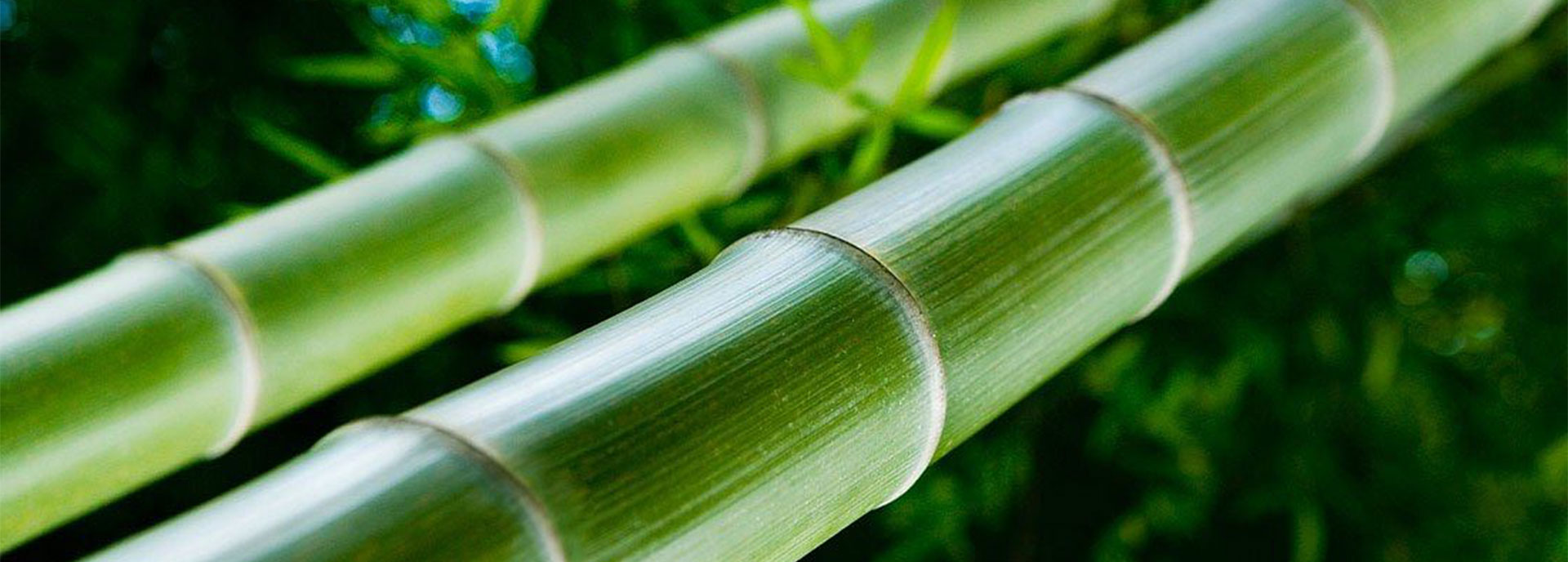 關(guān)于我們-四川蘭舍蘭分食品有限公司