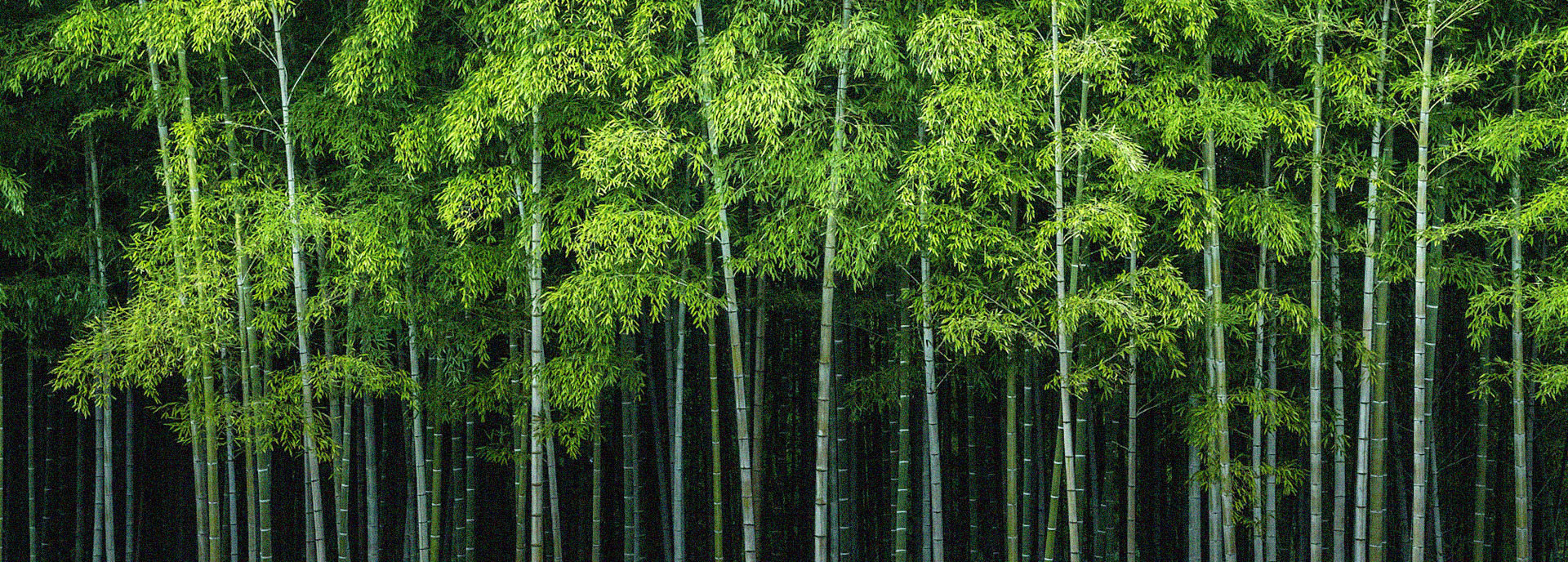 聯(lián)系我們-四川蘭舍蘭分食品有限公司